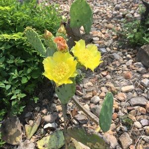 Meet your Posher, Ping